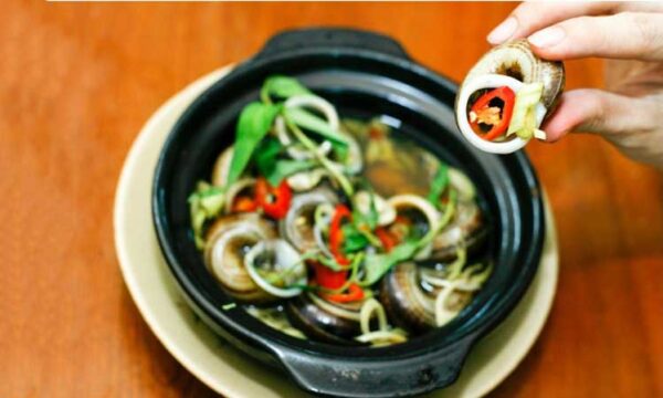 QUÀ CỦA NÚI